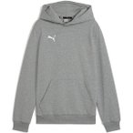PUMA Kinder Pullover teamGOAL Casuals Hoody Jr, Größe 128 in Grau