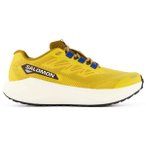 Salomon - Aero Blaze 3 Grvl - Runningschuhe 49 1/3 spicy mustard /blau