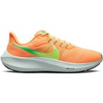 NIKE Damen Laufschuhe WMNS AIR ZOOM PEGASUS 39, Größe 36 ½ in Braun