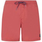PROTEST Herren Badeshorts FASTER beachshort, Größe XS in Braun