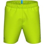 ARENA Herren Badeshorts FUNDAMENTALS LOGO BOXER, Größe M in Grün