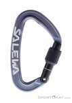 Salewa Ortles Screw Schraubkarabiner-Grau-One Size