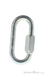 Edelrid Screwlink 8mm Karabiner-Silber-One Size