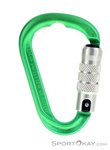 Austrialpin Mini.Mi 2-Wege-Autolock HMS-Karabiner-Grün-One Size