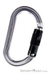 Petzl OK Ball Lock Karabiner-Grau-One Size