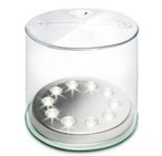 BioLite Luci Charge 150 Solarlaterne