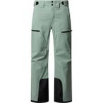 THE NORTH FACE Herren Hose M CHAKAL PANT, Größe XL in Grün