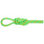 Mammut - 8.0 Alpine Dry Rope - Halbseil Länge 60 m grün