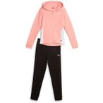 PUMA Kinder Sportanzug Hooded Sweat Suit FL cl G, Größe 176 in Pink