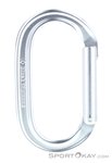 Black Diamond Oval Keylock Schnappkarabiner-Grau-One Size
