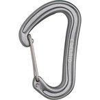 Edelrid Nineteen G Karabiner  Karabiner grau Größe One Size Alpinklettern