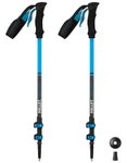 Millet - Wanderstöcke aus Carbon - Ubic Carbon Pair Blue Aster  - Blau