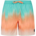 PROTEST Herren Badeshorts PRTBowery, Größe M in Pink