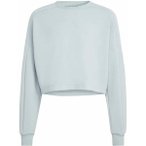 ADIDAS Kinder Sweatshirt FUTURE ICONS 3 STRIPES CROPPED, Größe 128 in Grau