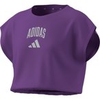 adidas Collegiate Typography  Kinder  T-Shirts lila Größe 170 Laufen | Lifesty