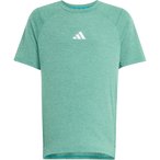adidas Goto Pz  Kinder  T-Shirts gruen Größe 176 Laufen | Lifestyle  Elastisch
