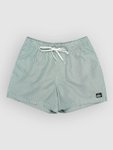 Quiksilver Everyday Deluxe Volley 15 Boardshorts forest Gr. S