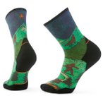 Smartwool - Trail Run Targeted Cushion Neature Crew Socks - Laufsocken 38-41 bun