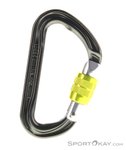 DMM Phantom Screwgate Karabiner-Grau-One Size