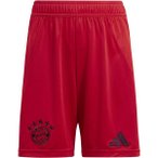 ADIDAS Kinder Teamhose FC Bayern München 24/25 Kids Heim, Größe 176 in Rot
