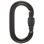 Black Diamond - Oval Keylock Screwgate Carabiner - Schraubkarabiner grau