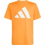 adidas Kinder Train Essentials Big Logo T-Shirt ( Orange 152)