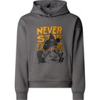 The North Face Sports Oversized Graphic  Kinder  Hoodies grau Größe 124  Lifes