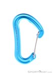 Edelrid Nineteen G Schnappkarabiner-Türkis-One Size