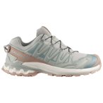 Salomon - Women's XA Pro 3D V9 GORE-TEX Lifelong - Multisportschuhe 38 2/3 grau
