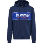 HUMMEL Herren Kapuzensweat hmlLGC JULIAN HOODIE, Größe XL in Blau
