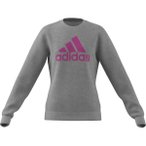 ADIDAS Kinder Essentials Big Logo Cotton Sweatshirt, Größe 128 in Grau