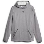 PUMA Herren Kapuzensweat Puma Fit Taped PWRFLEECE H, Größe S in Grau
