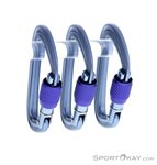 Black Diamond LiteForge Screwgate 3er Karabiner-Set-Grau-One Size
