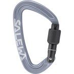 Salewa Ortles Screw Karabiner  Karabiner grau Größe One Size Alpinklettern