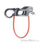Wild Country Pro Guide Sicherungsgerät-Silber-One Size