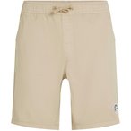 O'NEILL ORIGINALS WALK Shorts Herren