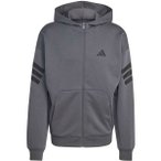 ADIDAS Herren Kapuzensweat Future Icons 3-Streifen, Größe XL in Grau