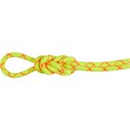 Mammut 9.5 Alpine Core Protect Dry Rope Kletterseil, 80 m, halo-vibrant orange