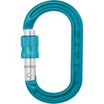 DMM XSRE Lock Karabiner  Karabiner tuerkis Größe One Size Alpinklettern | Spor