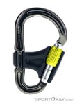 DMM Belay Master HMS-Karabiner-Grau-One Size