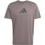 ADIDAS Herren Shirt CLIMACOOL Category Training Graphic, Größe M in Grau