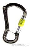 DMM Ceros Screwgate Lock Karabiner-Grau-One Size