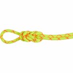 Mammut 9.5 Alpine Core Protect Dry 30 m Einfachseil Unisex ( Hellgrün 30)