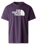 The North Face Herren Evolution Half Dome T-Shirt XL