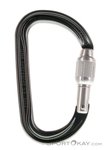 Petzl Am'D Screw-Lock Karabiner-Grau-One Size