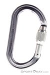 Petzl OK Screw-Lock Karabiner-Grau-One Size