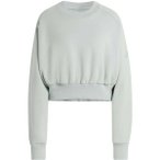 ADIDAS Damen Sweatshirt Soft Lux, Größe M in Silber