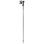 Leki - Carbon 14 TR - Skistöcke Länge 110 cm beige/weiß
