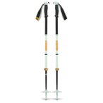 Black Diamond - Traverse Pro Ski Poles - Skitourenstöcke Länge 155 cm grün