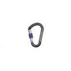 Beal - Be Lock Screw - Schraubkarabiner grau